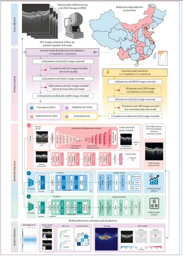 Uniform editorial cover image used across Wellward China resource summaries (placeholder)